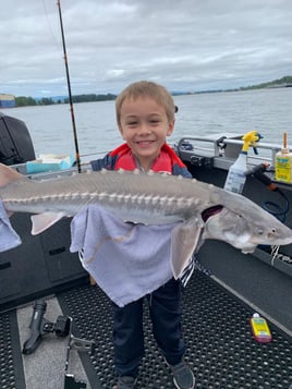 Sturgeon Catch and Release Trip