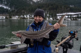 Sturgeon Catch and Release Trip