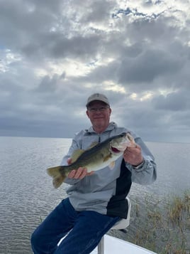 Okeechobee Largemouth & Crappie