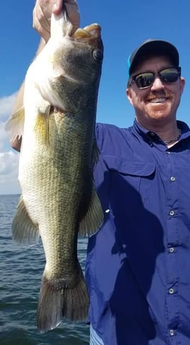 Trophy Chasing on Lake Fork