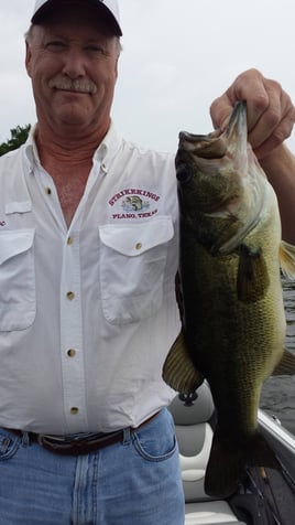 Trophy Chasing on Lake Fork