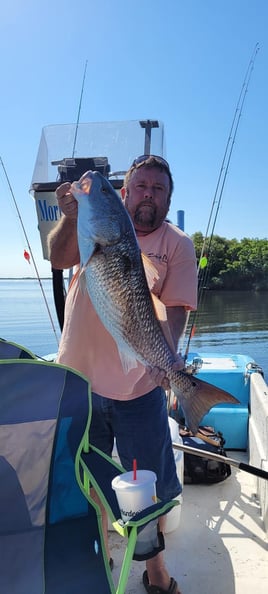 Redfish Fishing in Crystal River, Florida