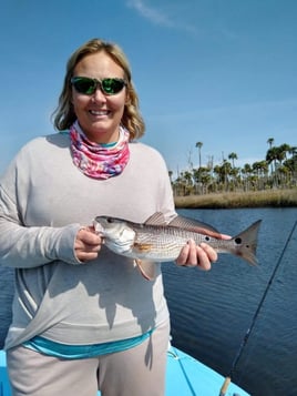 Redfish Fishing in Crystal River, Florida