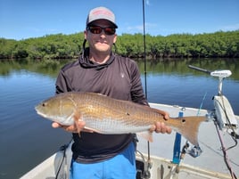 Redfish Fishing in Crystal River, Florida