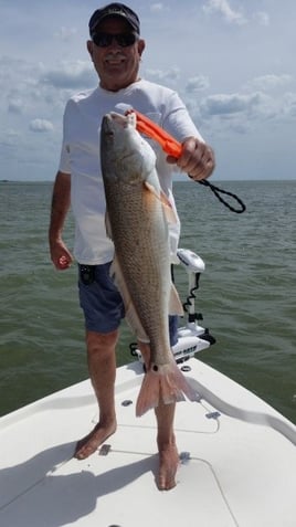 Redfish Fishing in Crystal River, Florida