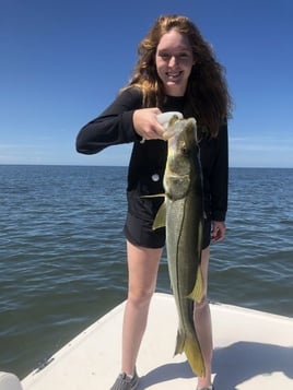 Snook Fishing in Crystal River, Florida