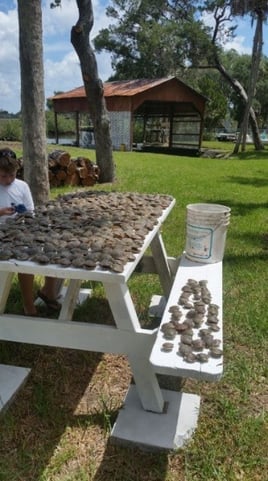 Crystal River Scalloping Trip