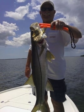 Snook Fishing in Crystal River, Florida