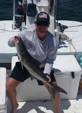 Big Ole Reds, Snook, & Trout