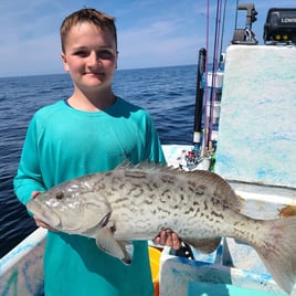 Gag Grouper Fishing in Crystal River, Florida