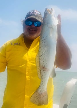 Speckled Trout Fishing in Port Isabel, Texas