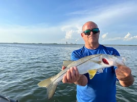 Snook Fishing in Crystal River, Florida