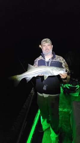 Snook Fishing in Crystal River, Florida