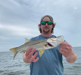 Snook Fishing in Crystal River, Florida