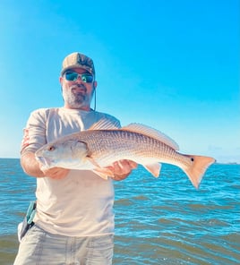 Redfish Fishing in Crystal River, Florida