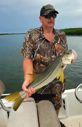 Snook Fishing in Crystal River, Florida