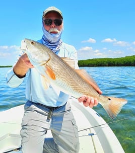 Redfish Fishing in Crystal River, Florida