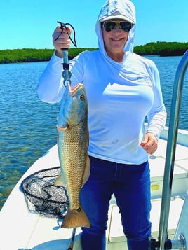 Redfish Fishing in Crystal River, Florida