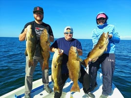 Gag Grouper Fishing in Crystal River, Florida