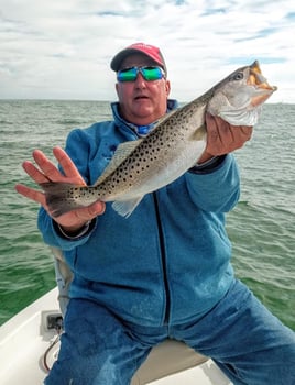 Speckled Trout Fishing in Crystal River, Florida