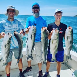 Striped Bass Fishing in Montauk, New York