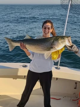 Striped Bass Fishing in Montauk, New York