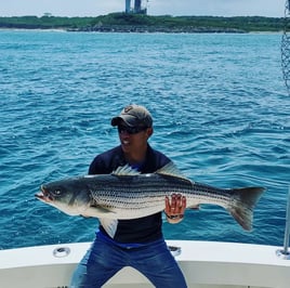 Striped Bass Fishing in Montauk, New York