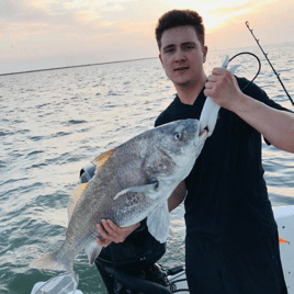 Black Drum Fishing in Galveston, Texas