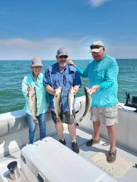 Late Erie Walleye and Perch