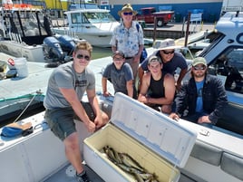 Late Erie Walleye and Perch