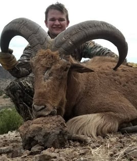 West Texas Aoudad Ram Hunt