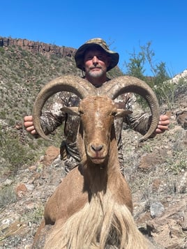 West Texas Aoudad Ram Hunt