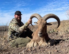 West Texas Aoudad Ram Hunt