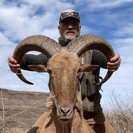 West Texas Aoudad Ram Hunt