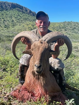 West Texas Aoudad Ram Hunt