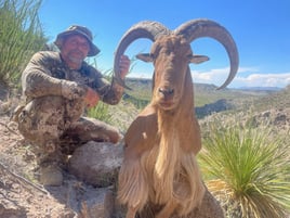 Hill Country Aoudad Ram Hunt