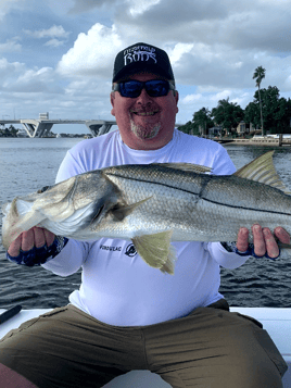 Fort Lauderdale Snook and Tarpon