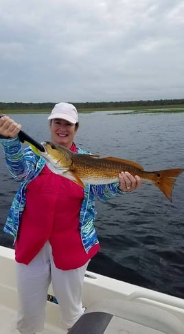 Scalloping + Fishing Combo