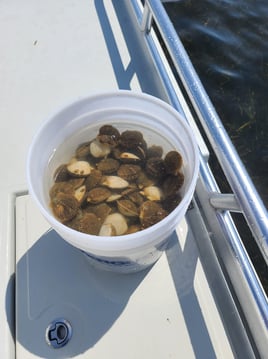 Scalloping + Fishing Combo