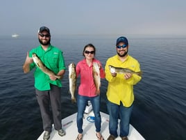 Scalloping + Fishing Combo