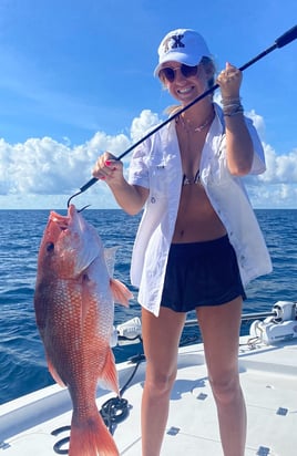 Fall Red Snapper