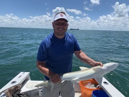 Half Day Shark Trip - 24' ProLine