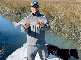 Reds on the Fly