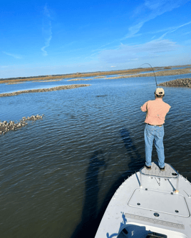 Reds on the Fly