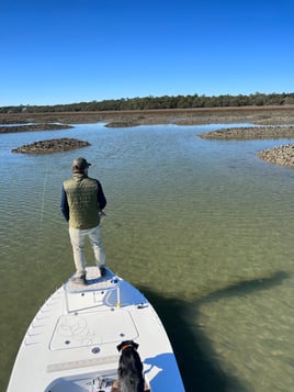 Reds on the Fly