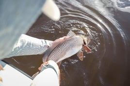 Jacksonville Reds on the Fly