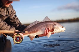 Jacksonville Reds on the Fly