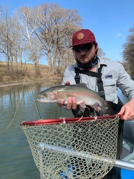 Hill Country Bass Trip