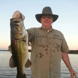 Sunset Bass & Night Gator Eco-Tour