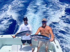 Kona Coast Big Game Fishing